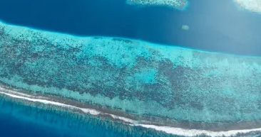 long banc corail